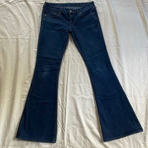 Express Jeans Lower Rise with Flare